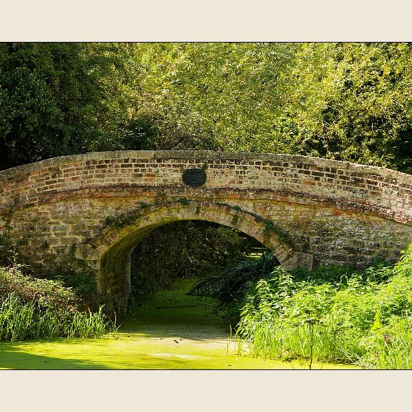 Calne 8