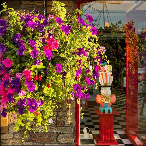 Chipping Sodbury 4- Colourful Shop Front