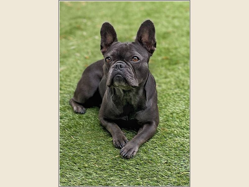 DPI: Is this Pose OK by Steve Parker - Commended