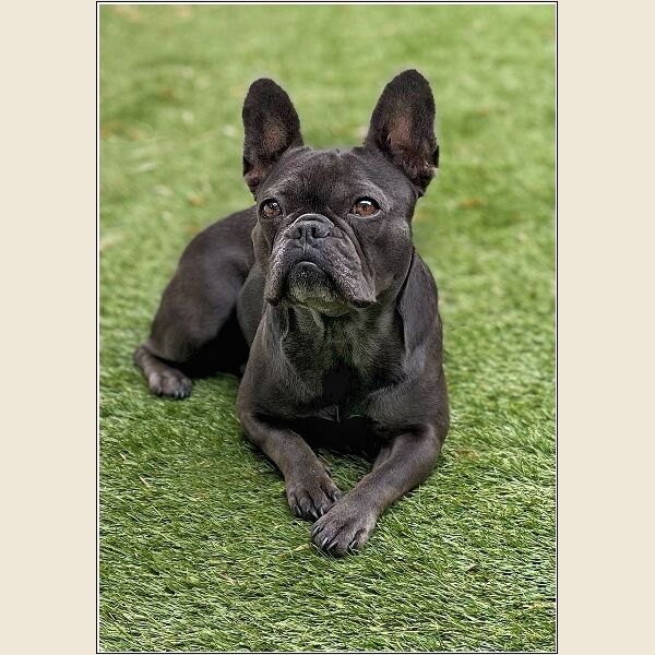 DPI: Is this Pose OK by Steve Parker - Commended