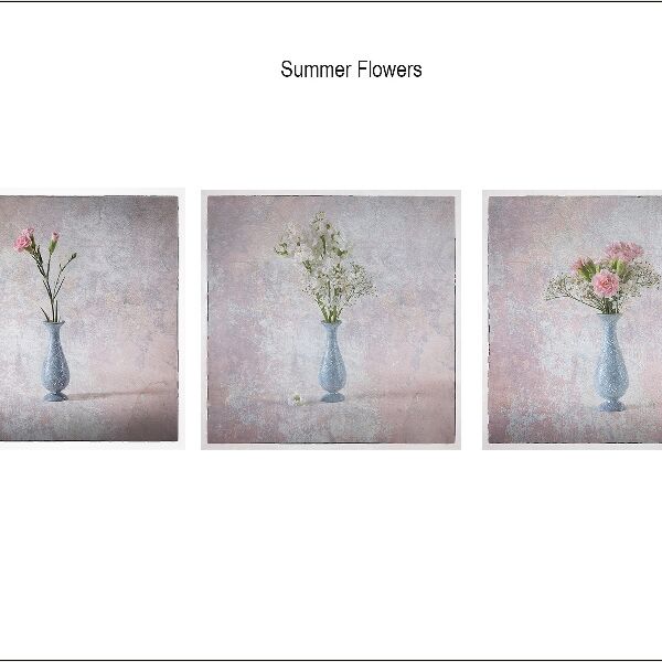 DPI - Kim Pickup Summer Flowers - Second