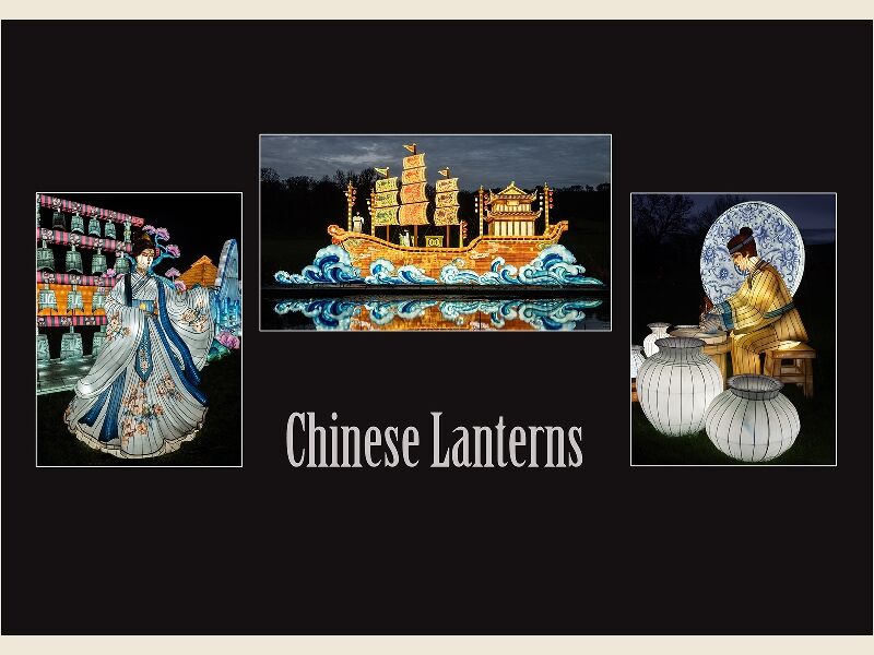 DPI - Susan Winkworth Chinese Lanterns - Commended