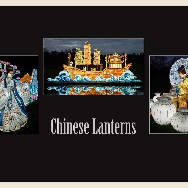 DPI - Susan Winkworth Chinese Lanterns - Commended