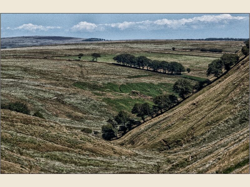 DPI: A Valley on Exmoor by Trevor Toms-Third