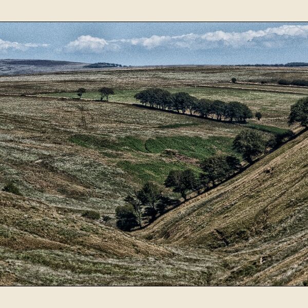 DPI: A Valley on Exmoor by Trevor Toms-Third