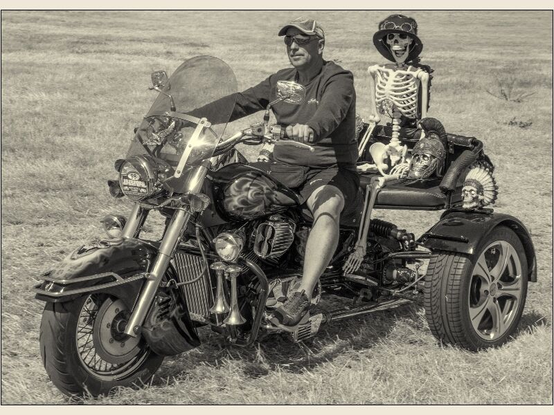 DPI:  Dead Funny by Trevor Toms-Highly Commended