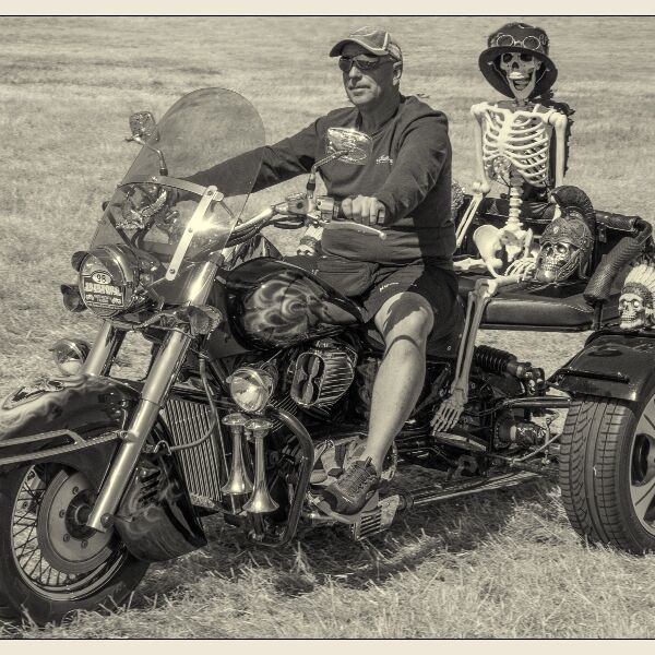 DPI:  Dead Funny by Trevor Toms-Highly Commended