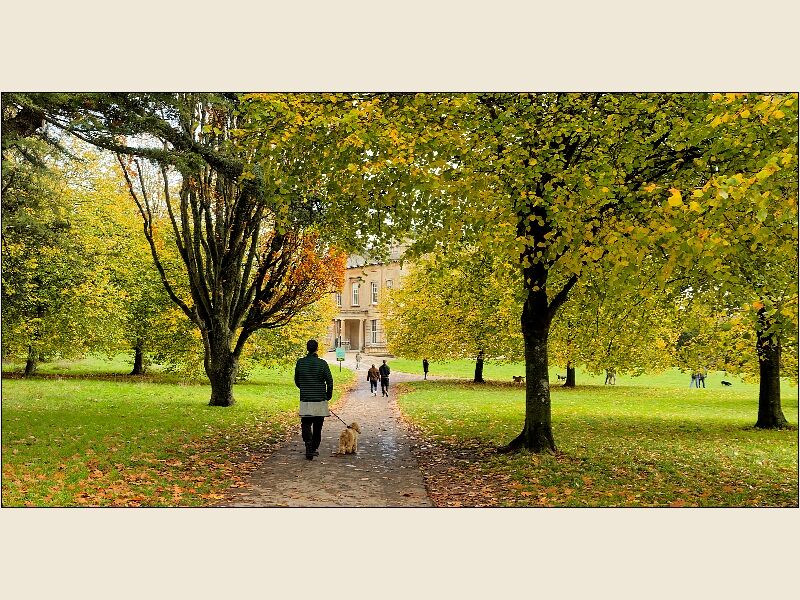 Dog Walkers At Blaise Castle