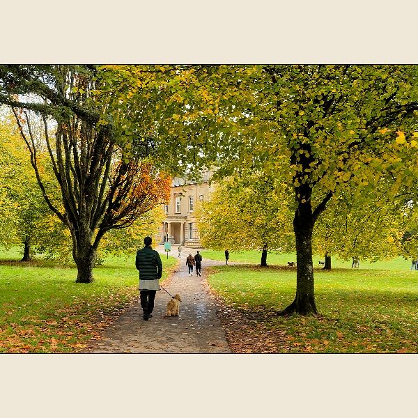 Dog Walkers At Blaise Castle