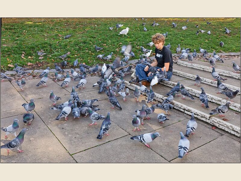 Exeter 3- Feeding the Pigeons