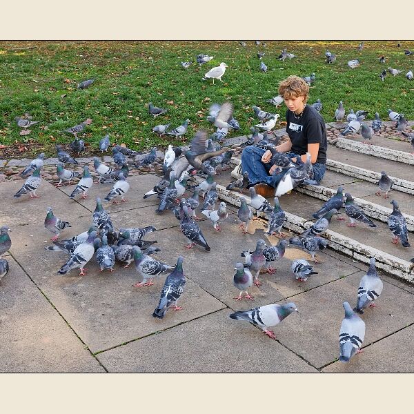 Exeter 3- Feeding the Pigeons