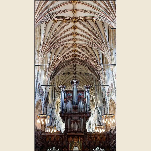 Exeter 6- Exeter Cathedral Looking Up