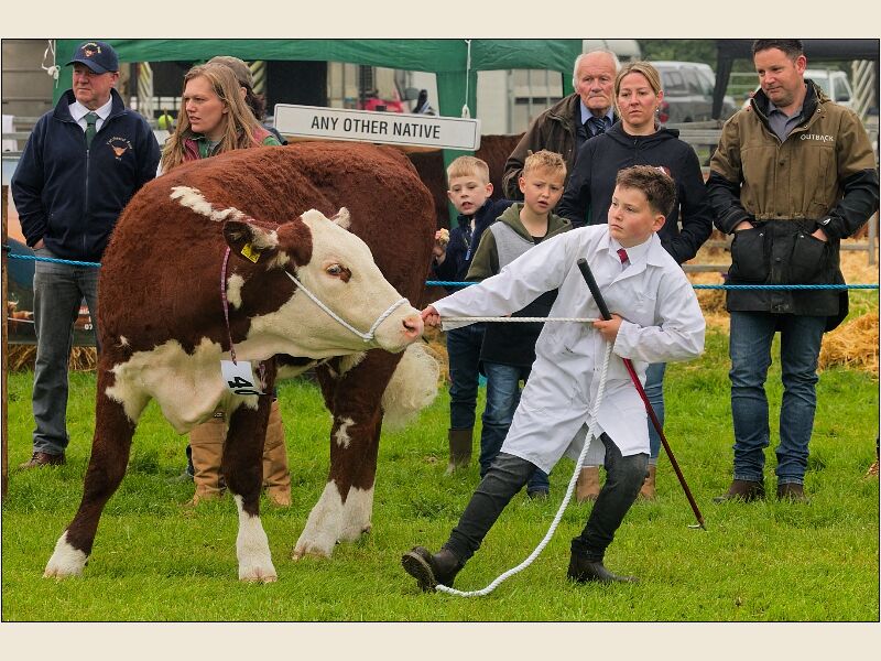 North Somerset Show 1