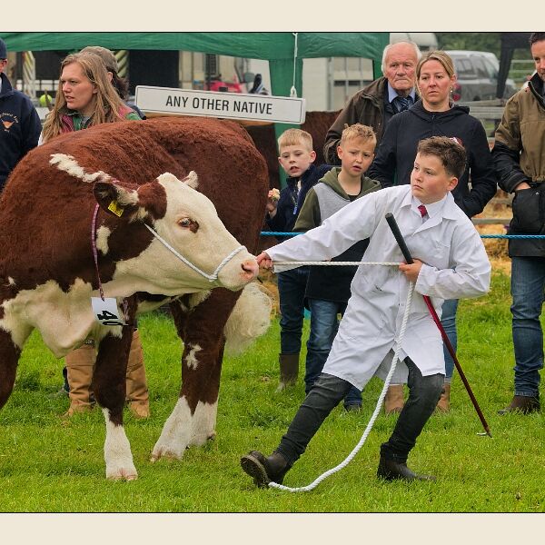 North Somerset Show 1