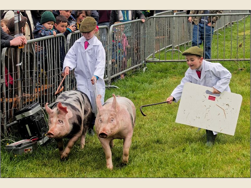 North Somerset Show 3
