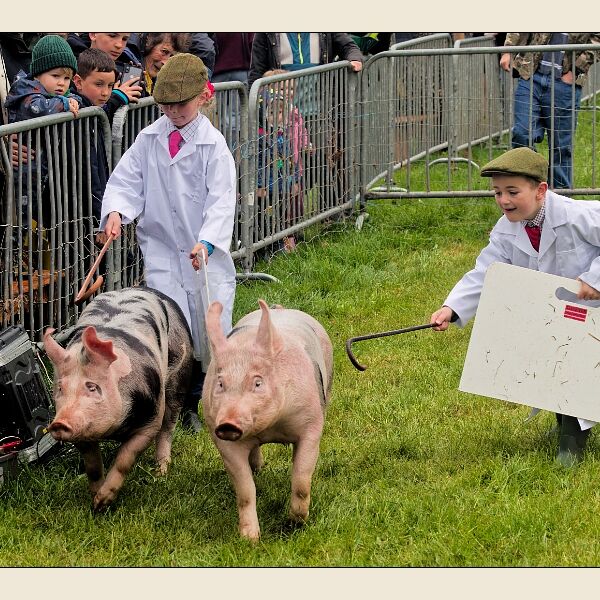 North Somerset Show 3