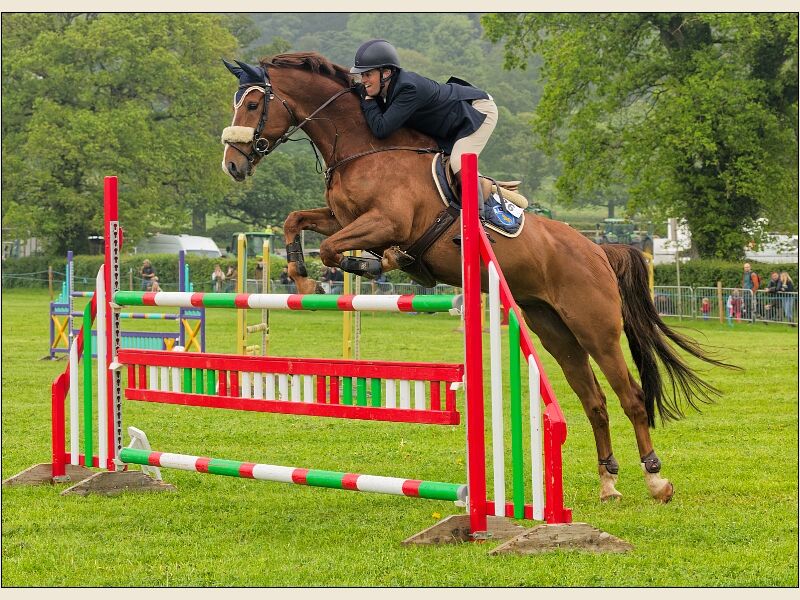North Somerset Show 5