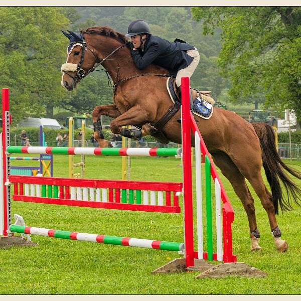 North Somerset Show 5