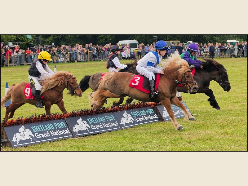 North Somerset Show 8
