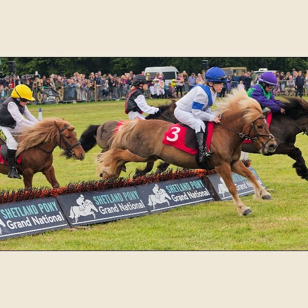 North Somerset Show 8