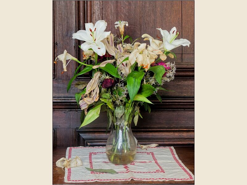 Oxford- St Edmund Hall-Decaying Flowers