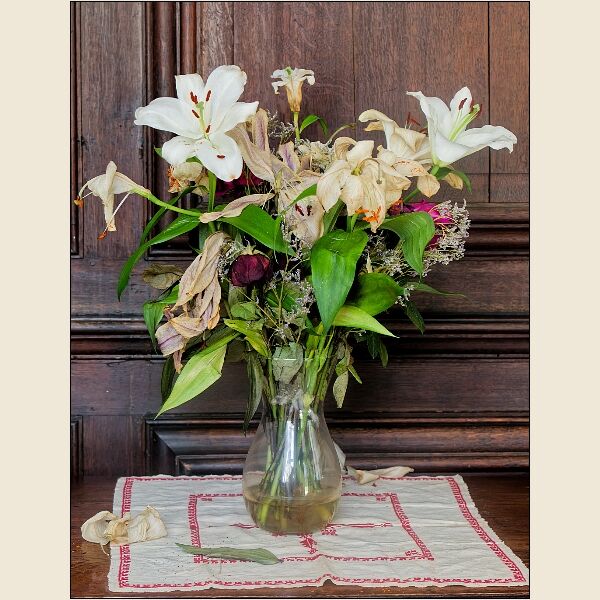 Oxford- St Edmund Hall-Decaying Flowers