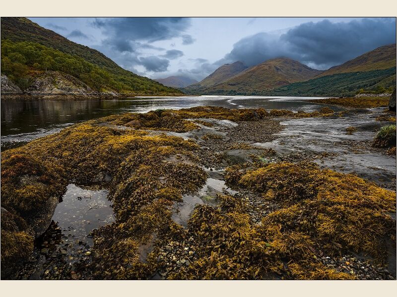 Print: Loch Creran by Geoff Mallin - Second