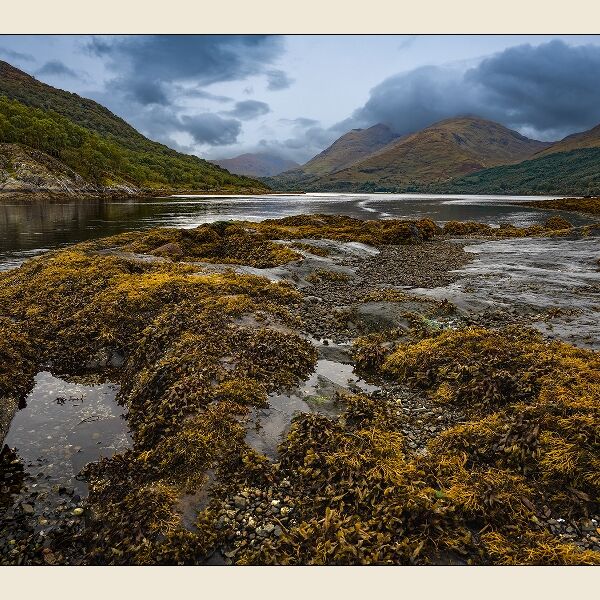 Print: Loch Creran by Geoff Mallin - Second