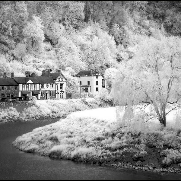 Print: Tintern by Kim Pickup - Second