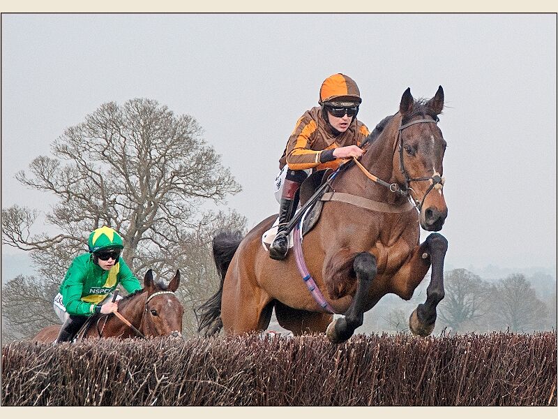 Print: Closely Followed By... by Bruce Gibbs - Commended