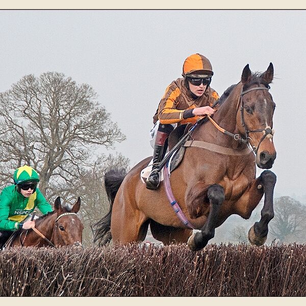 Print: Closely Followed By... by Bruce Gibbs - Commended