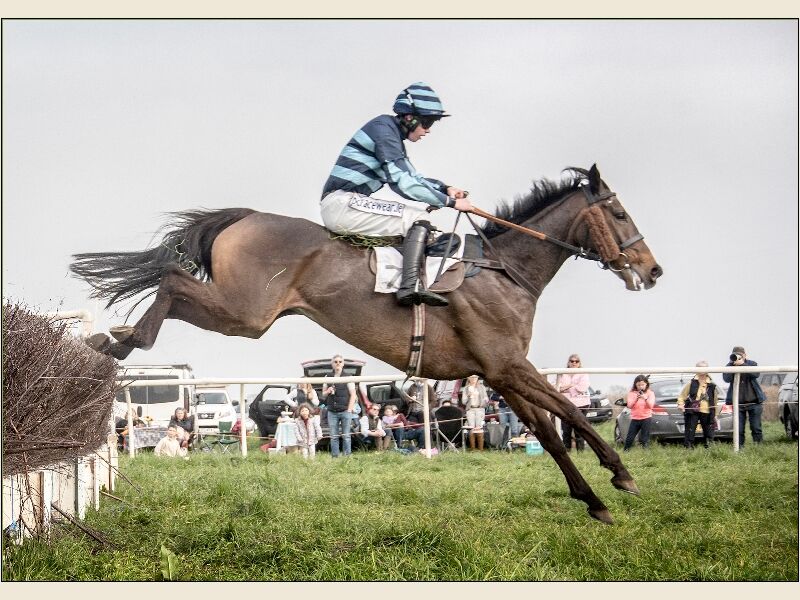 Print: Safely Over by Bruce Gibbs - Third