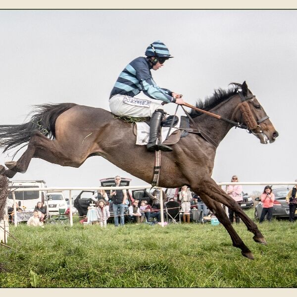 Print: Safely Over by Bruce Gibbs - Third