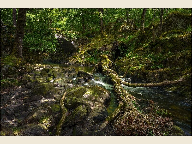 Print: Woodland Stream, North Wales by Geoff Mallin - Commended