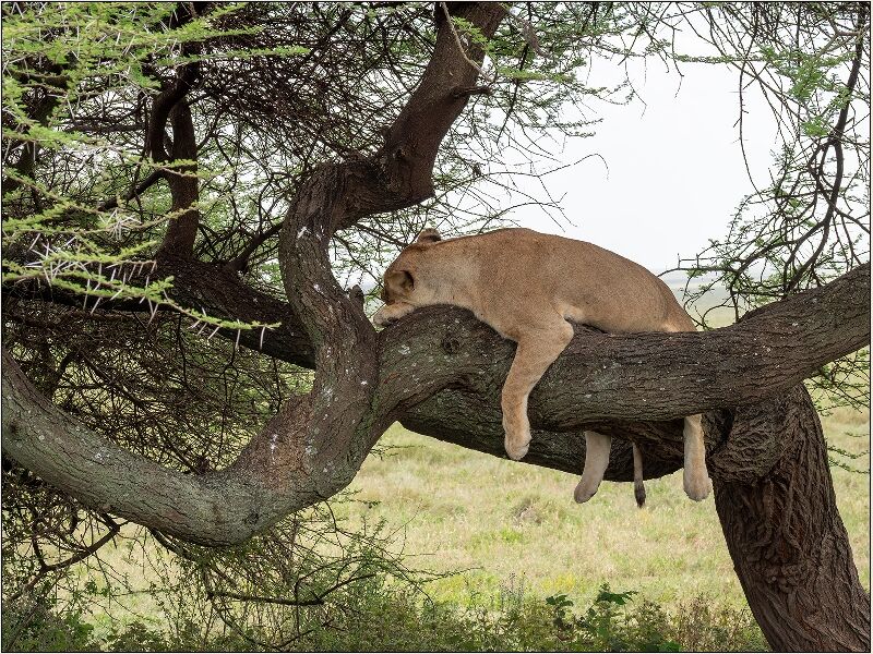 Taking it Easy