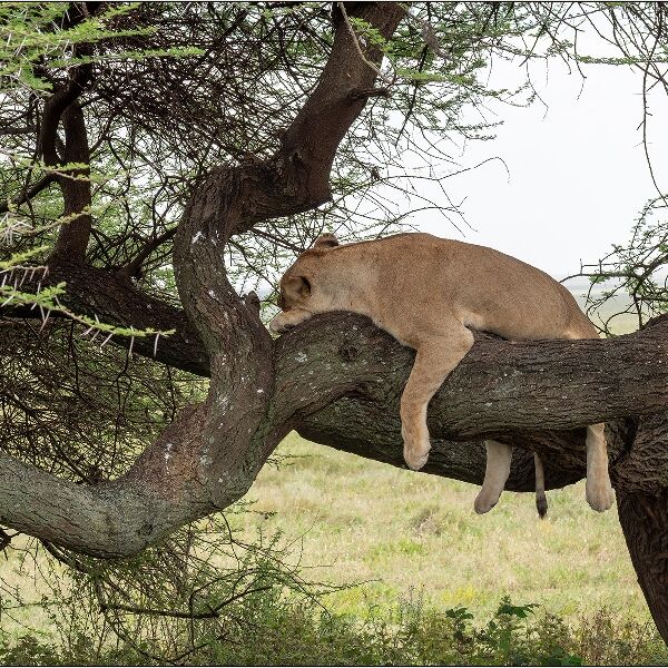 Taking it Easy