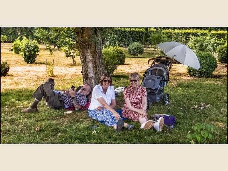 The Picnic Party
