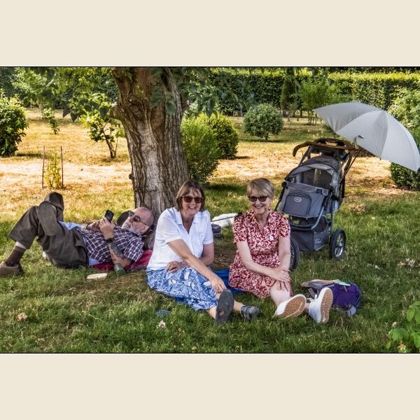 The Picnic Party