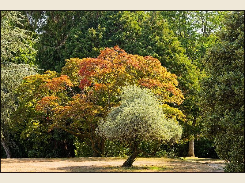 Westonbirt House 88