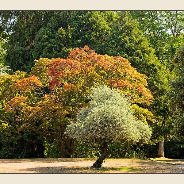 Westonbirt House 88