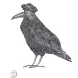 CROW in HAT