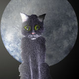 CAT with MOON