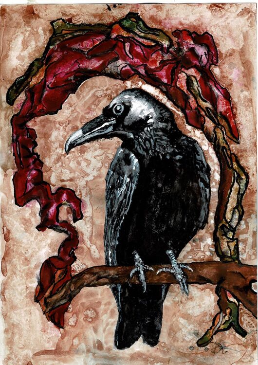 CROW