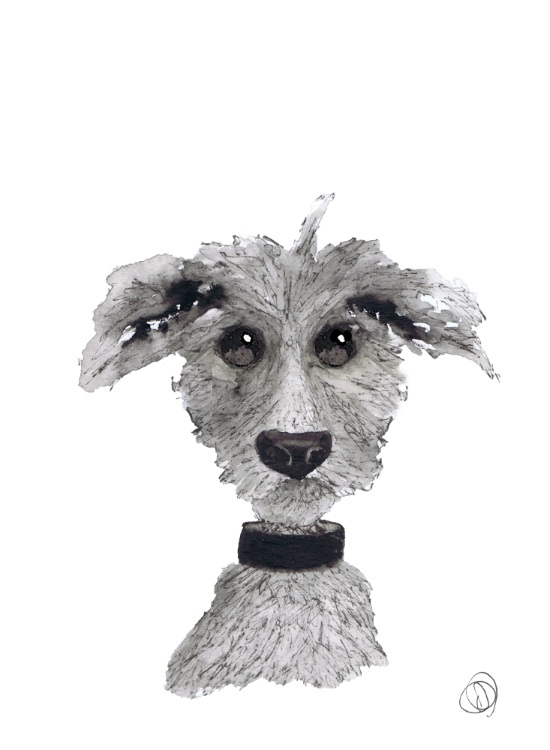 DOGGY