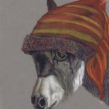 DONKEY in HAT
