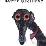 SILLY GREYHOUND card