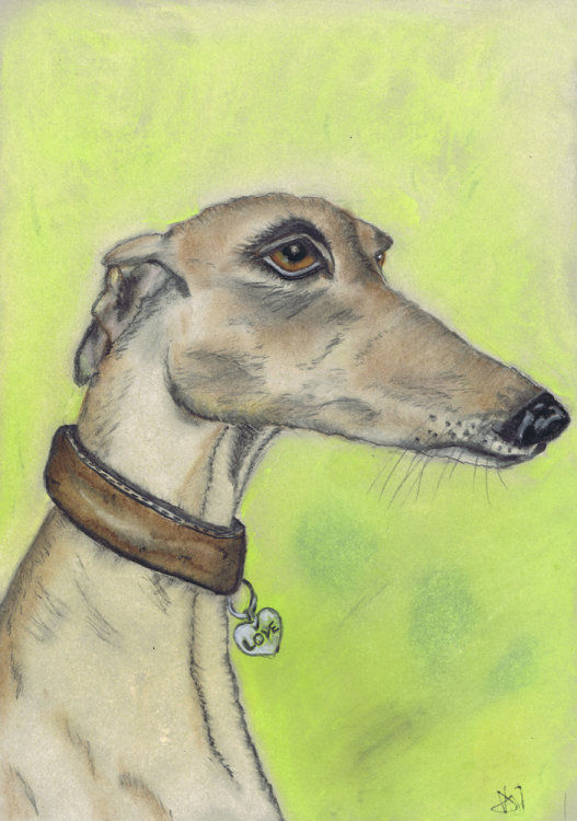 GREYHOUND LOVE