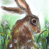 BROWN HARE IN FLOWERS h2567