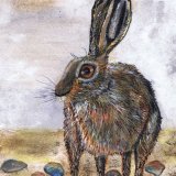 BROWN HARE h3012