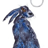 BLUE HARE h3110